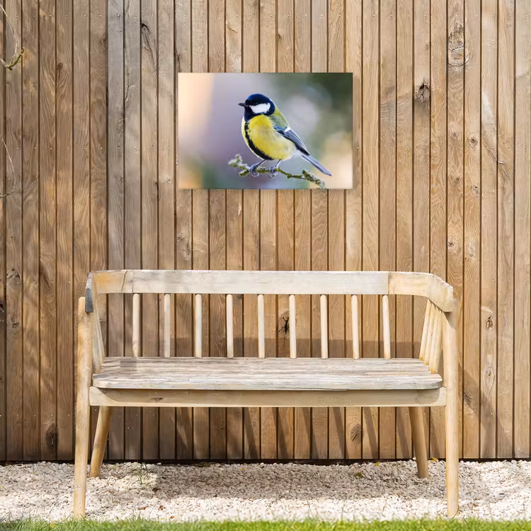 Buiten canvas - Koolmees op een Tak — 3