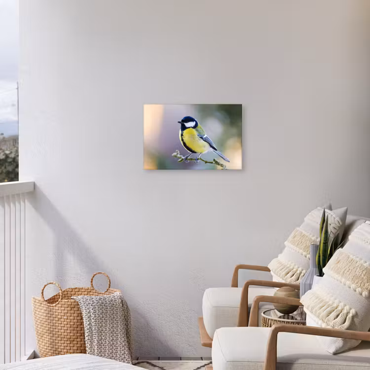 Buiten canvas - Koolmees op een Tak — 4