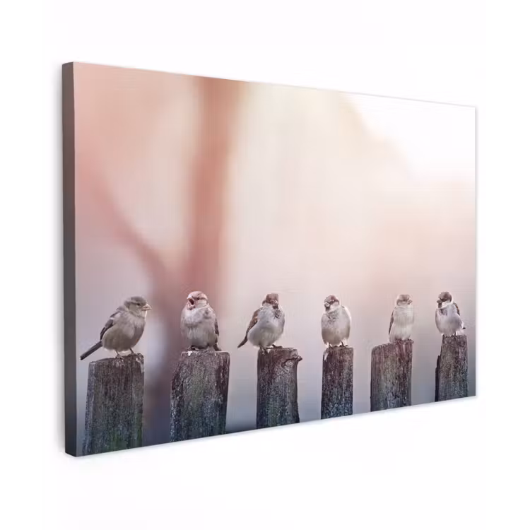 Buiten canvas - Mussen op Houten Palen — 1