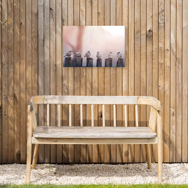 Buiten canvas - Mussen op Houten Palen — 3