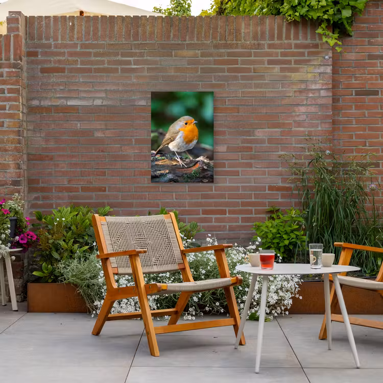 Buiten canvas - Roodborstje op een Boomstam — 2