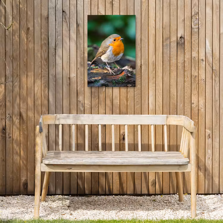Buiten canvas - Roodborstje op een Boomstam — 3