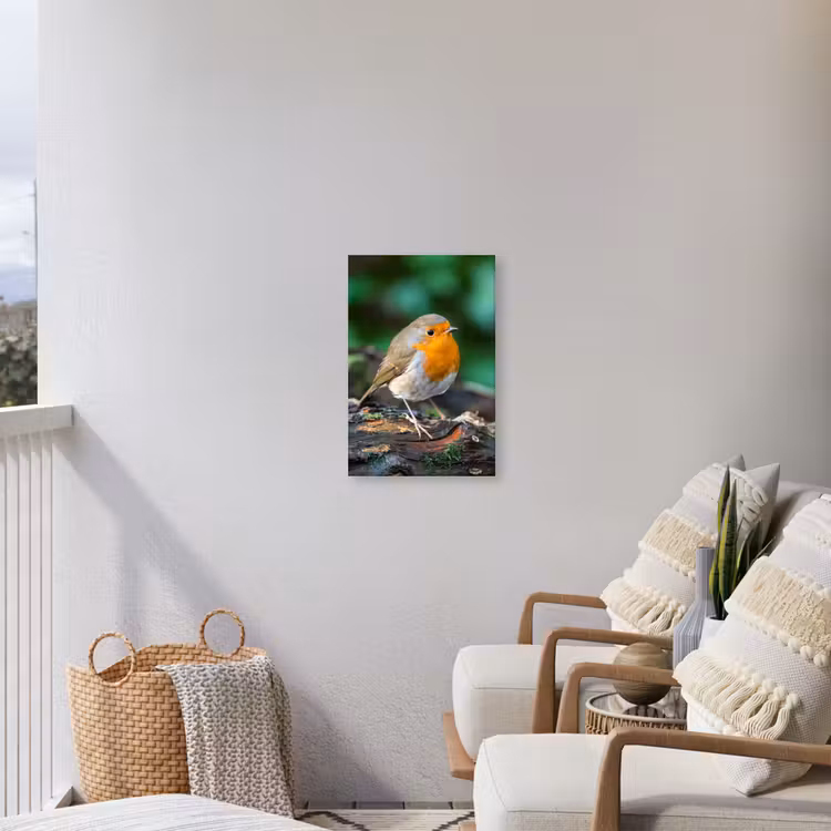 Buiten canvas - Roodborstje op een Boomstam — 4