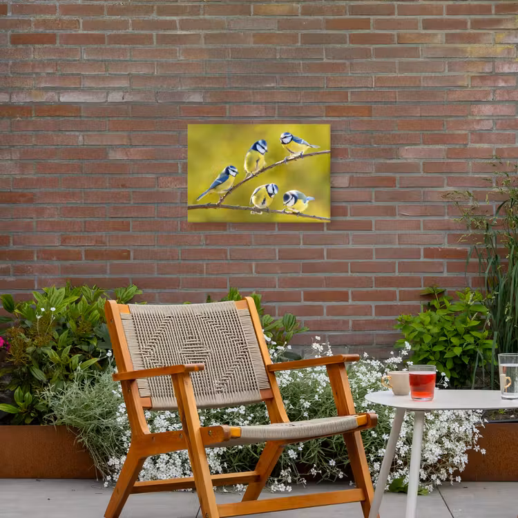 Buiten canvas - Vijf Koolmezen op een Tak — 2