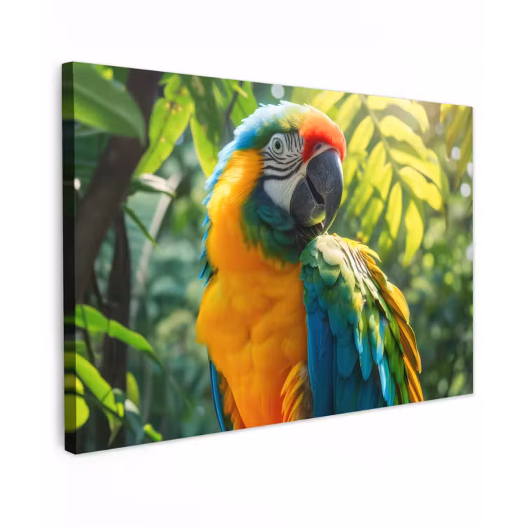 Buiten canvas - Ara in de Tropen — 1