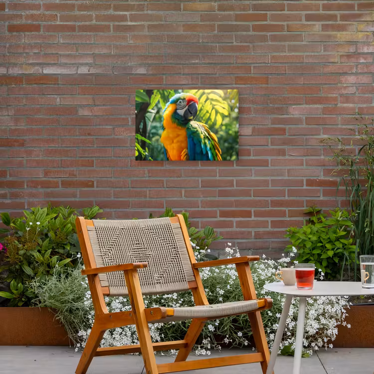 Buiten canvas - Ara in de Tropen — 2