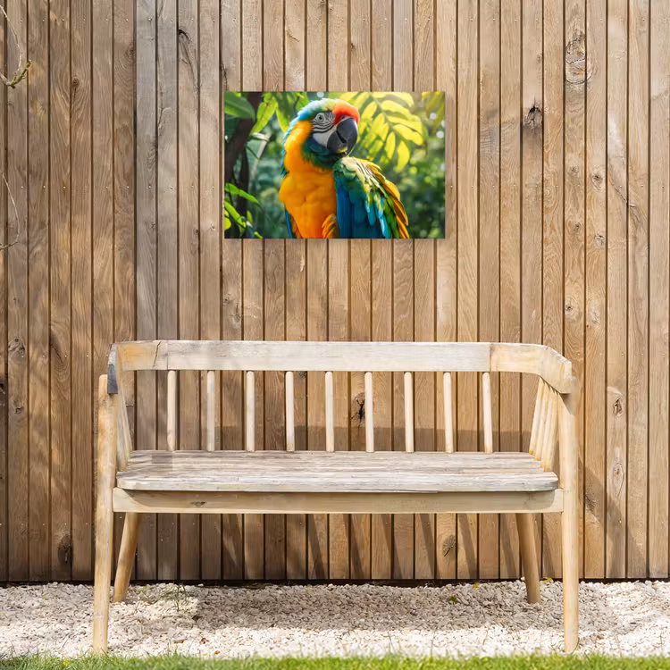 Buiten canvas - Ara in de Tropen — 3