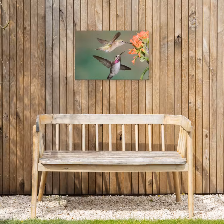 Buiten canvas - Kolibries bij Bloemen — 3
