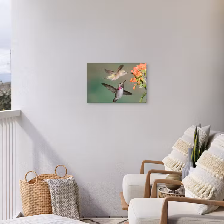 Buiten canvas - Kolibries bij Bloemen — 4