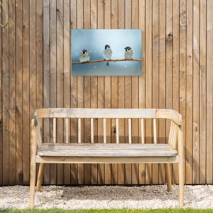 Buiten canvas - Mussen in de Sneeuw — 3