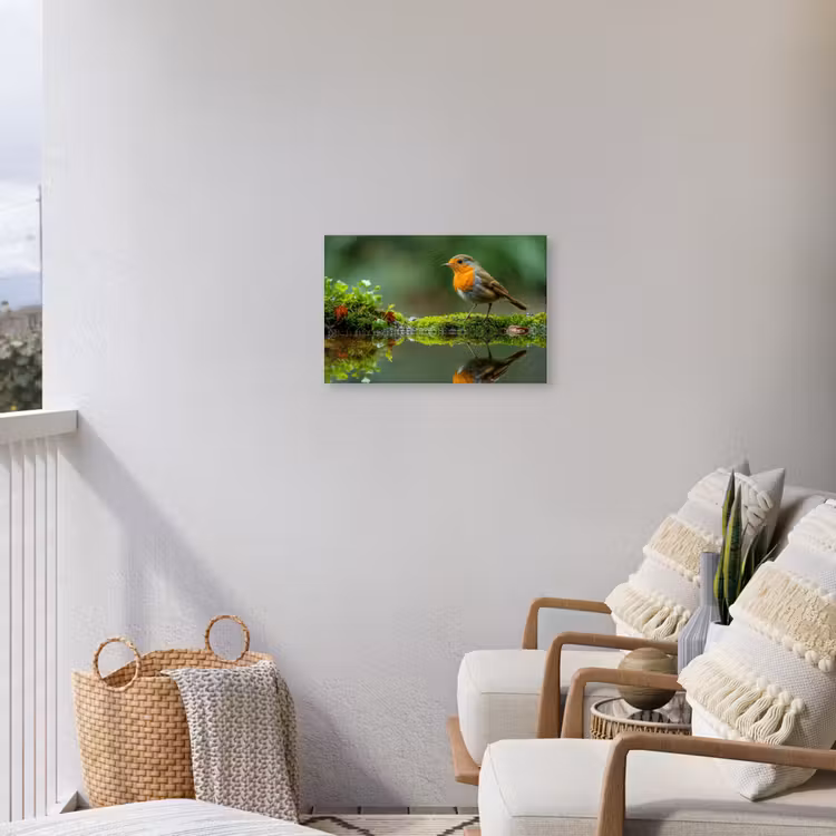 Buiten canvas - Roodborstje bij het Water — 4