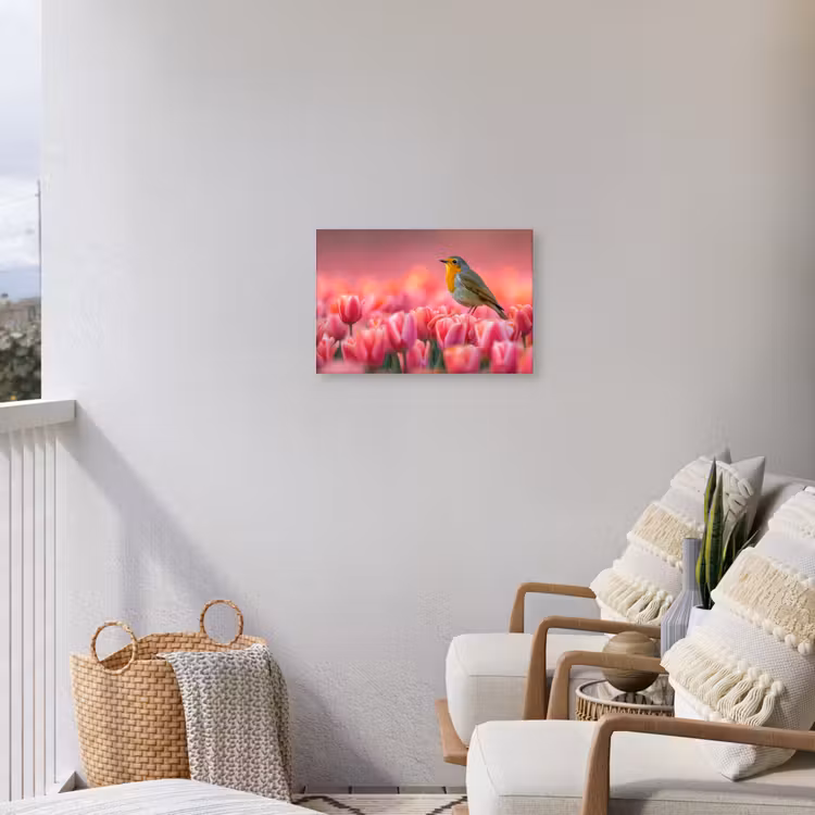 Buiten canvas - Roodborstje in Tulpenveld — 4