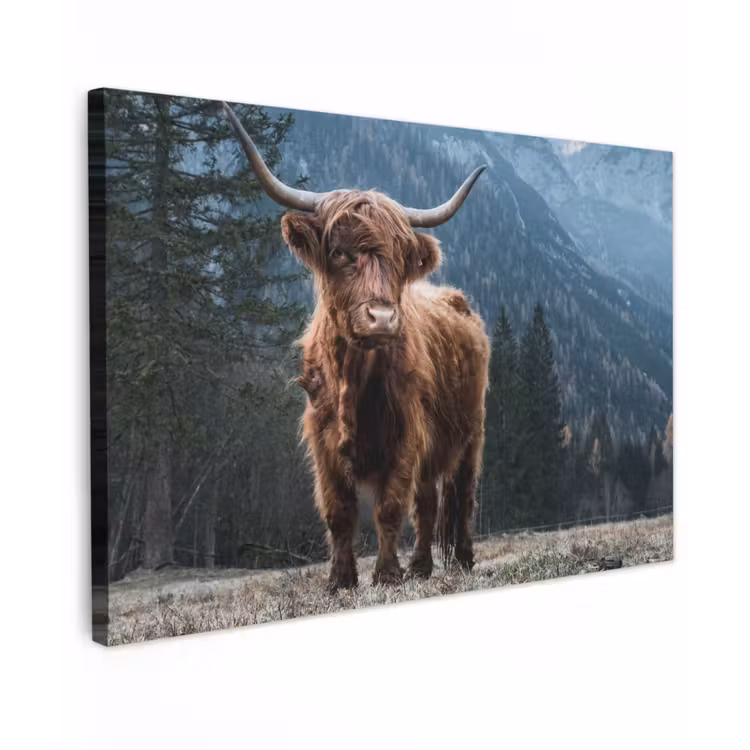Buiten canvas - Hooglander in de Bergen — 1