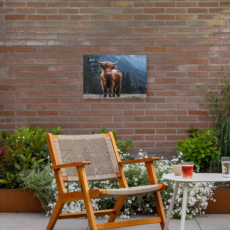 Buiten canvas - Hooglander in de Bergen — 2