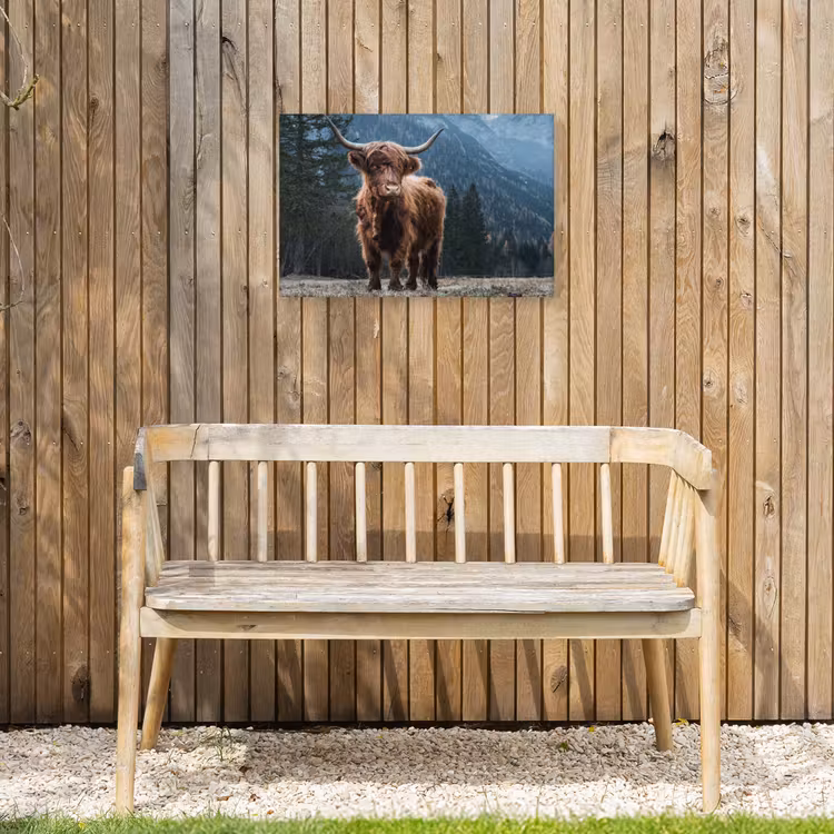 Buiten canvas - Hooglander in de Bergen — 3