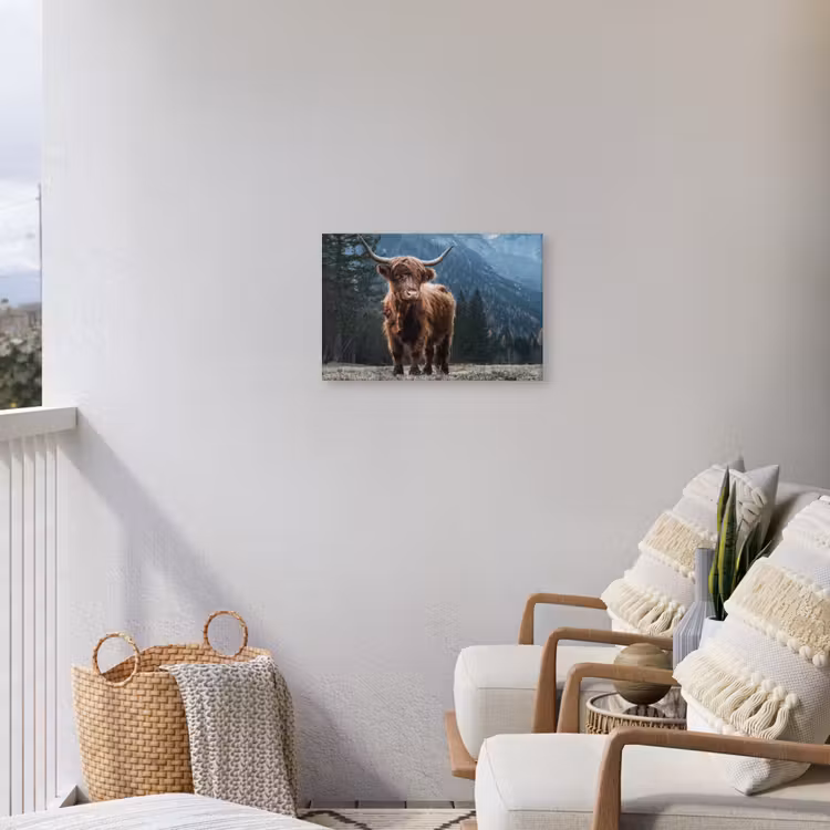 Buiten canvas - Hooglander in de Bergen — 4