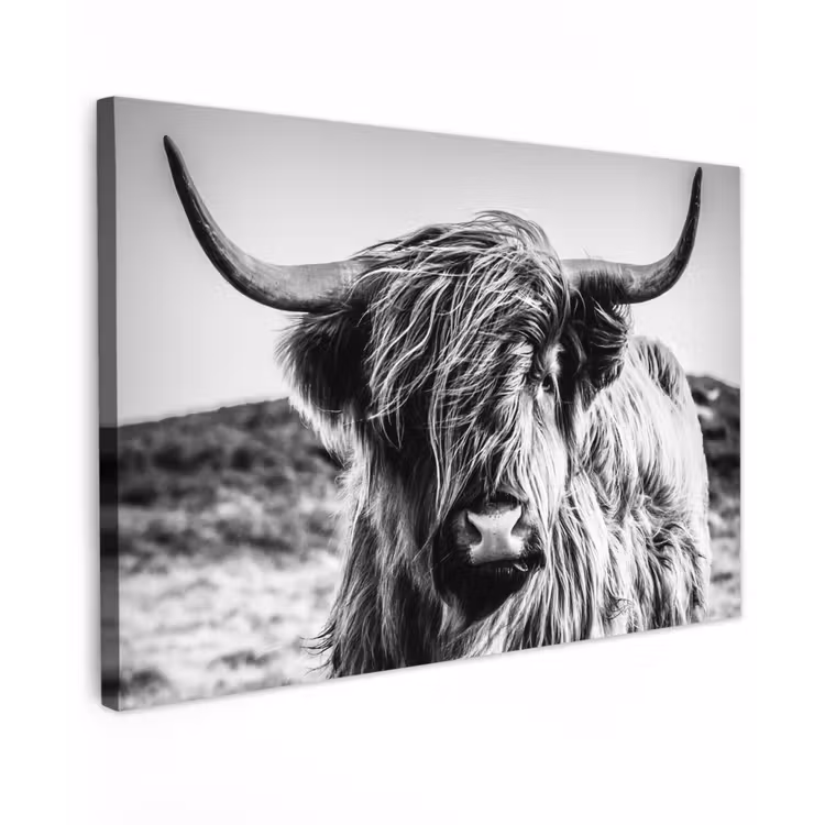 Buiten canvas - Stoere Hooglander — 1