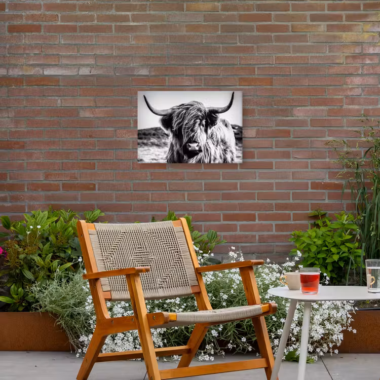 Buiten canvas - Stoere Hooglander — 2