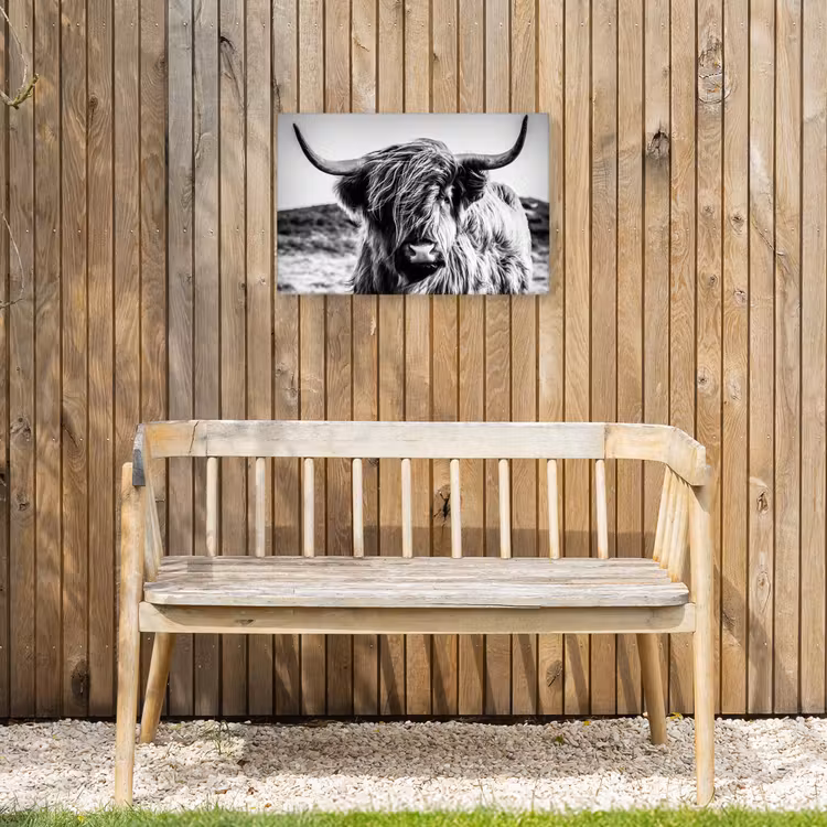 Buiten canvas - Stoere Hooglander — 3