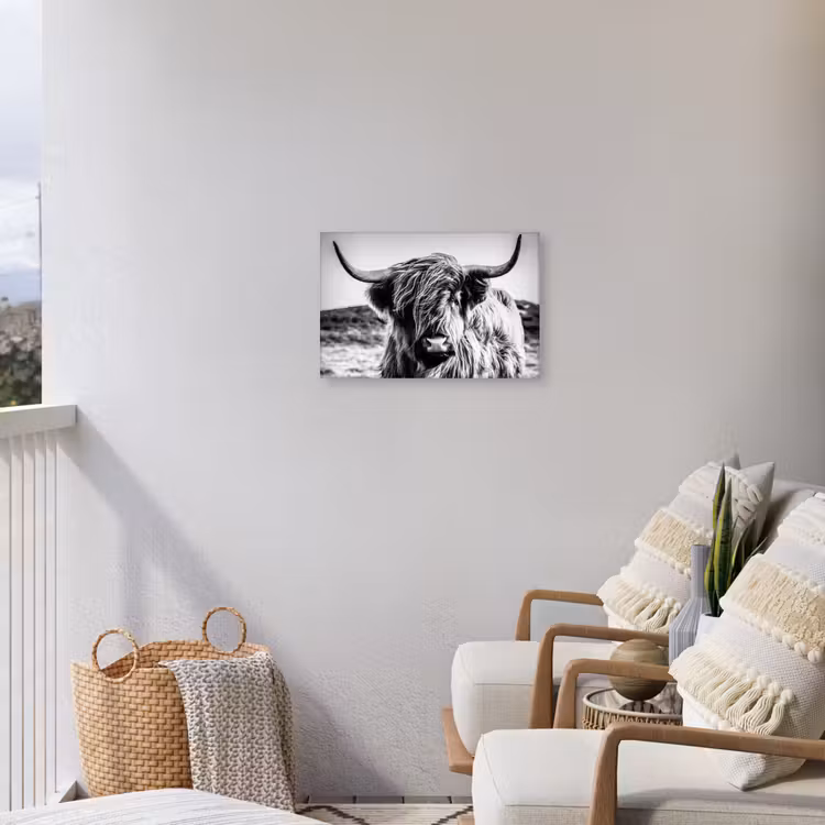 Buiten canvas - Stoere Hooglander — 4
