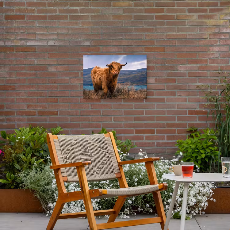 Buiten canvas - Hooglander bij het Meer — 2