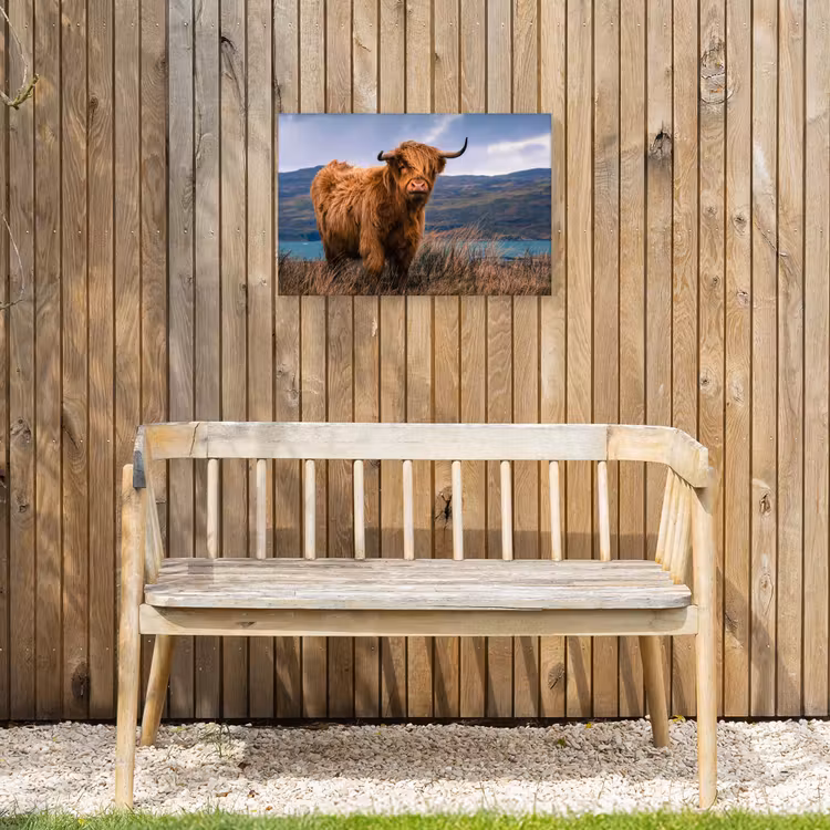 Buiten canvas - Hooglander bij het Meer — 3
