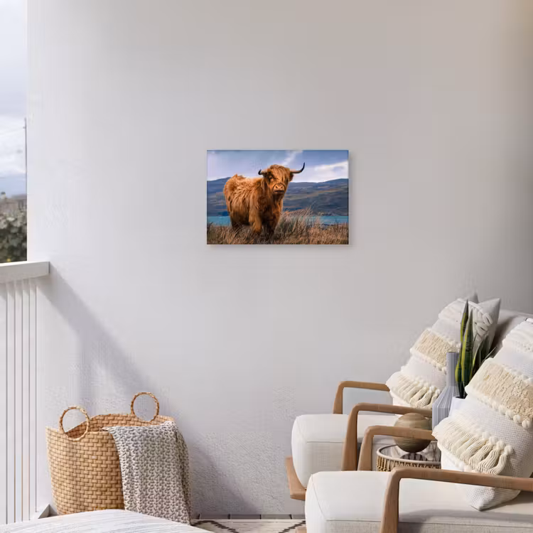 Buiten canvas - Hooglander bij het Meer — 4