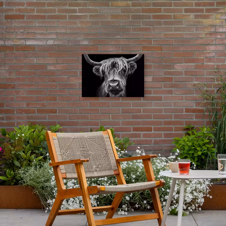 Buiten canvas - Hooglander in Zwart-Wit — 2