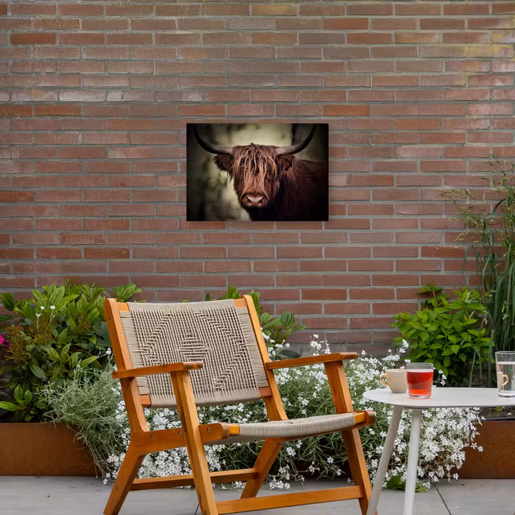 Buiten canvas - Majestueuze Hooglander in het Donker — 2