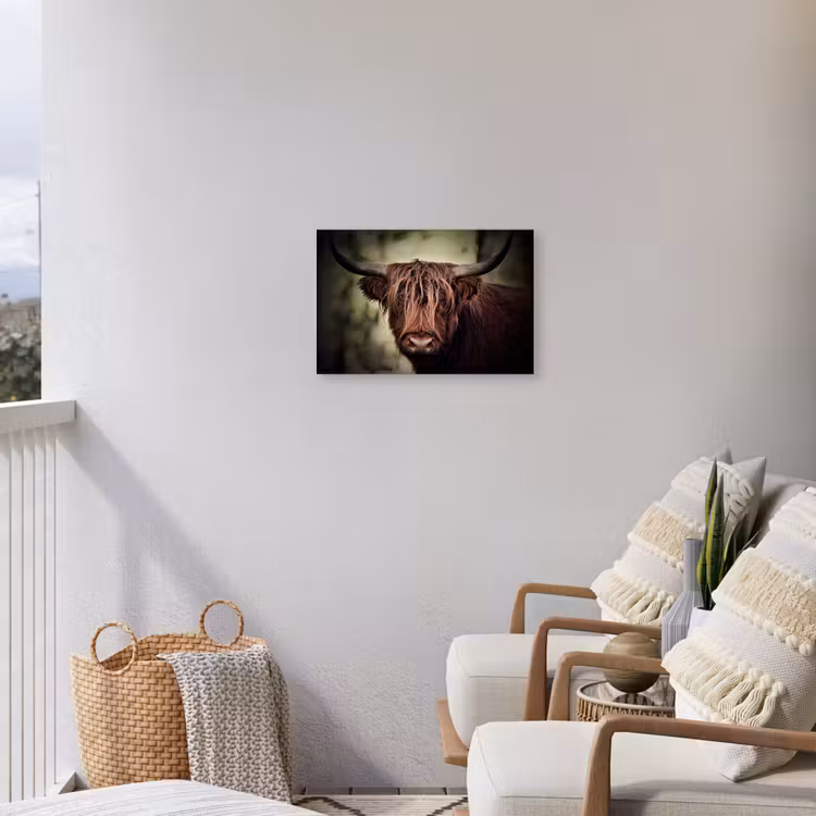 Buiten canvas - Majestueuze Hooglander in het Donker — 4
