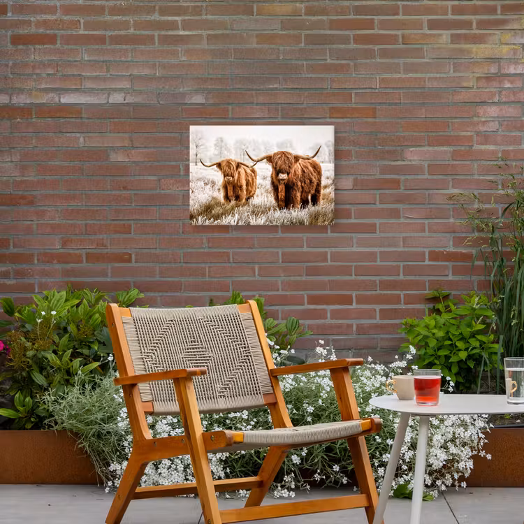 Buiten canvas - Twee Hooglanders in de Winter — 2