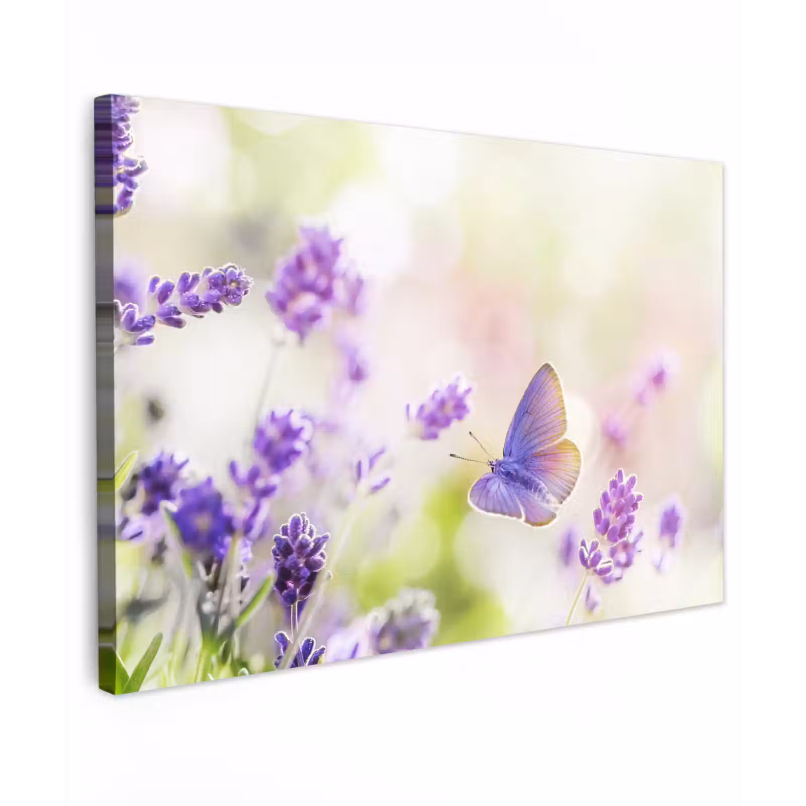 Buiten canvas - Lavendel - Vlinder - Bloemen — 1