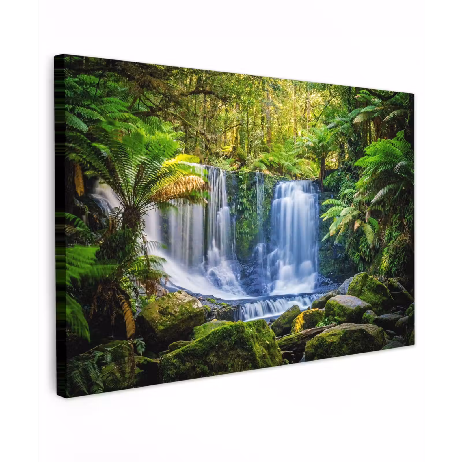 Buiten canvas - Waterval in het Regenwoud — 1