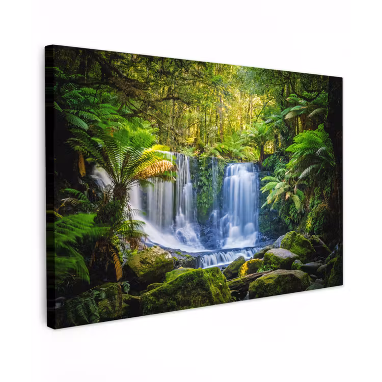Buiten canvas - Jungle - Waterval - Australië - Planten - Natuur — 1