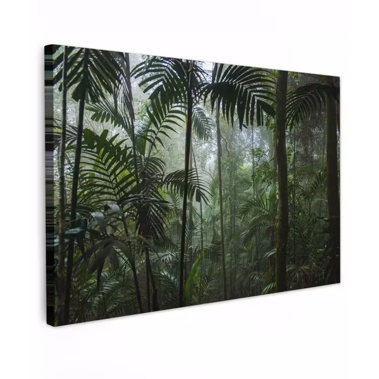 Buiten canvas - Regenwoud - Tropisch - Jungle - Bomen - Planten — 1
