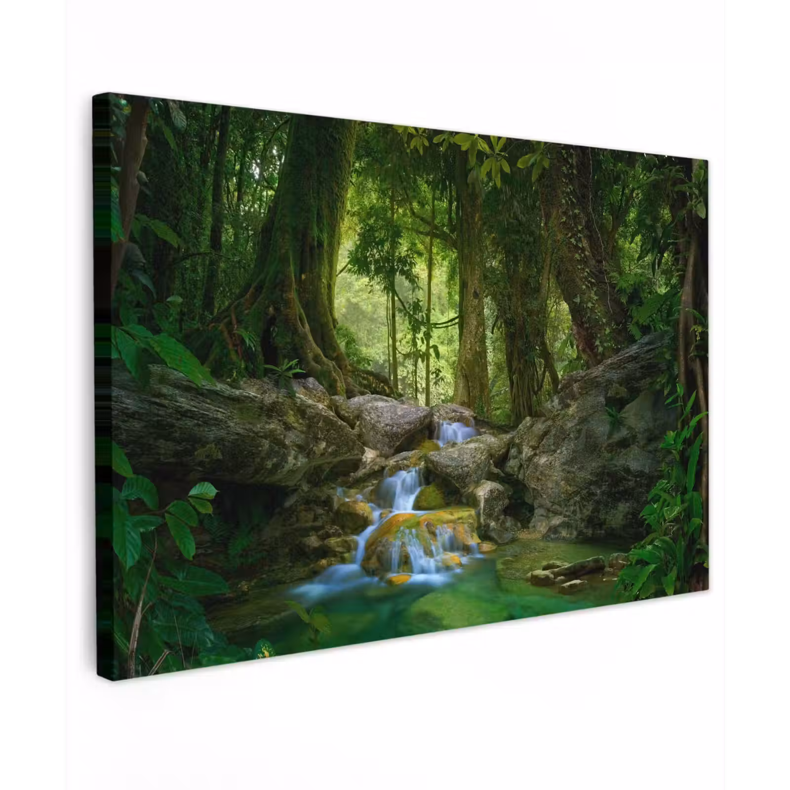 Buiten canvas - Waterval in het Regenwoud — 1