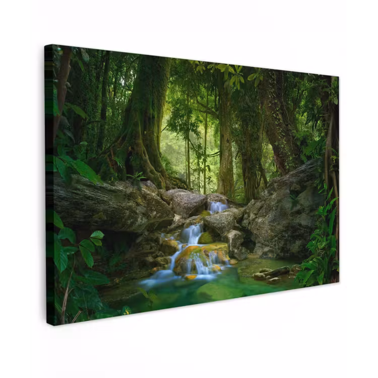 Buiten canvas - Waterval in het Regenwoud — 1