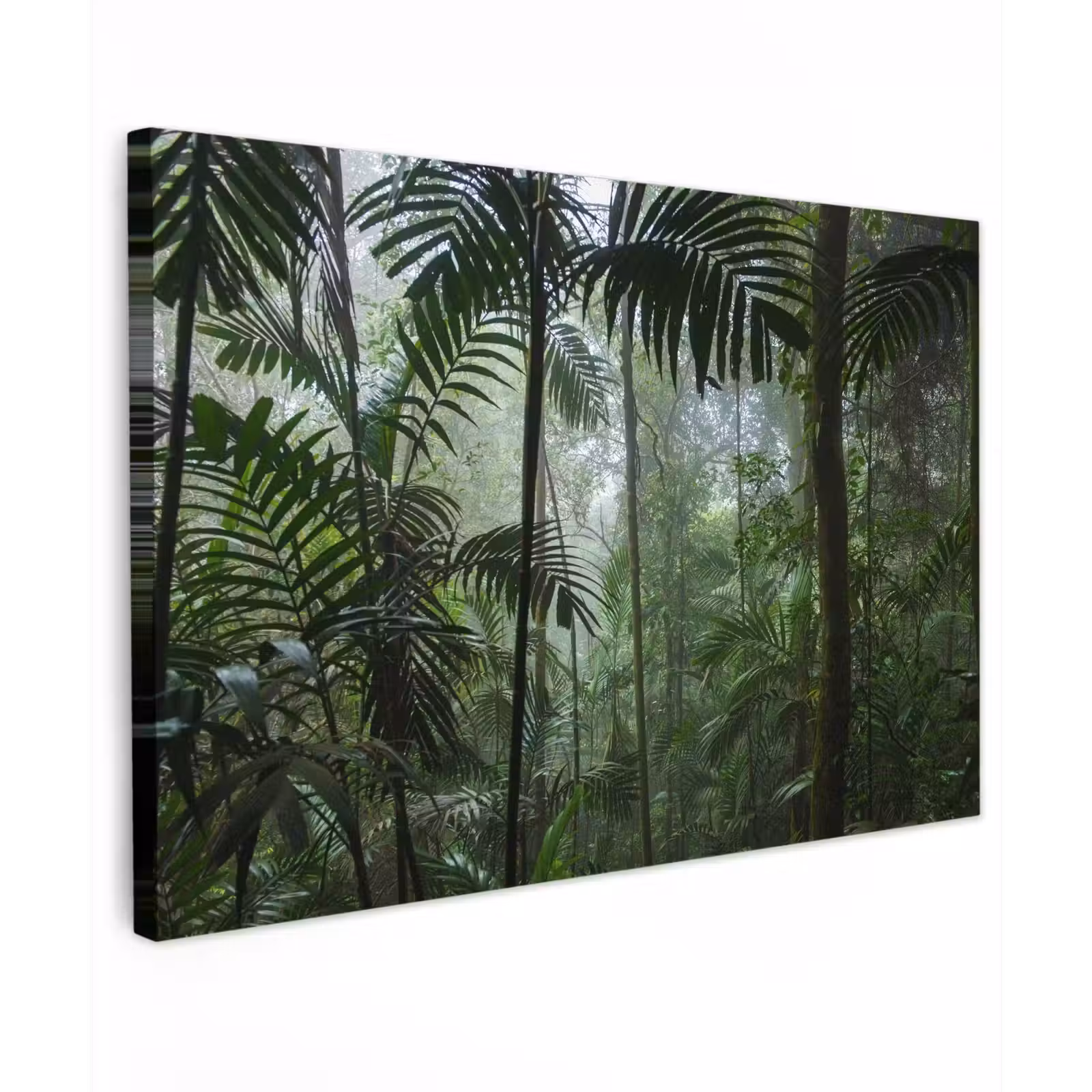 Buiten canvas - Mysterieuze Tropische Woud — 1