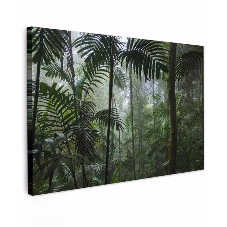 Buiten canvas - Mysterieuze Tropische Woud — 1