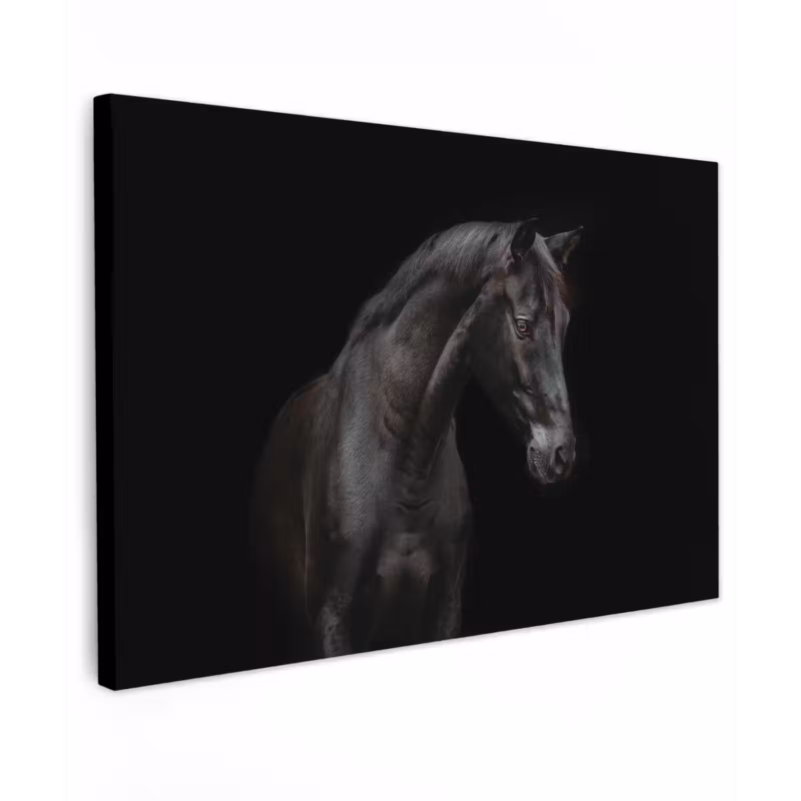 Buiten canvas - Elegant zwart paard in het donker — 1
