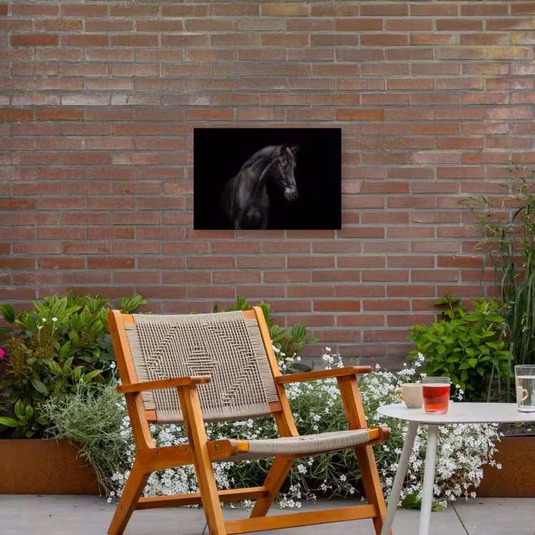 Buiten canvas - Elegant zwart paard in het donker — 2