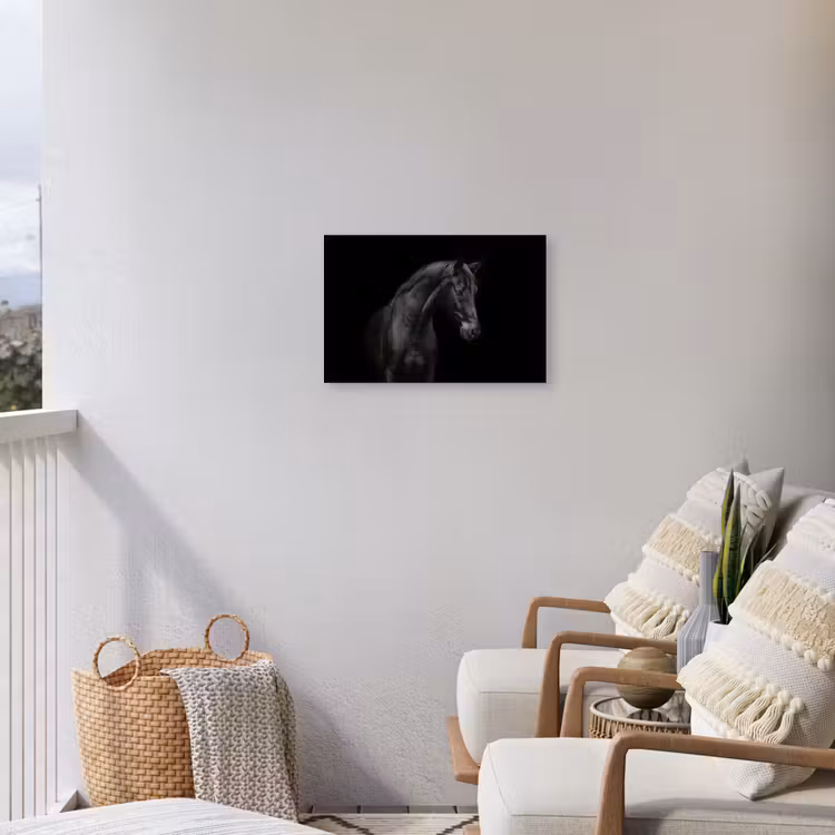 Buiten canvas - Elegant zwart paard in het donker — 4