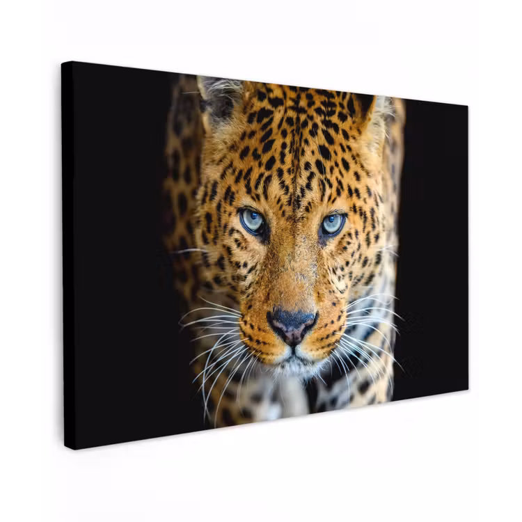 Buiten canvas - Intens portret van een luipaard — 1