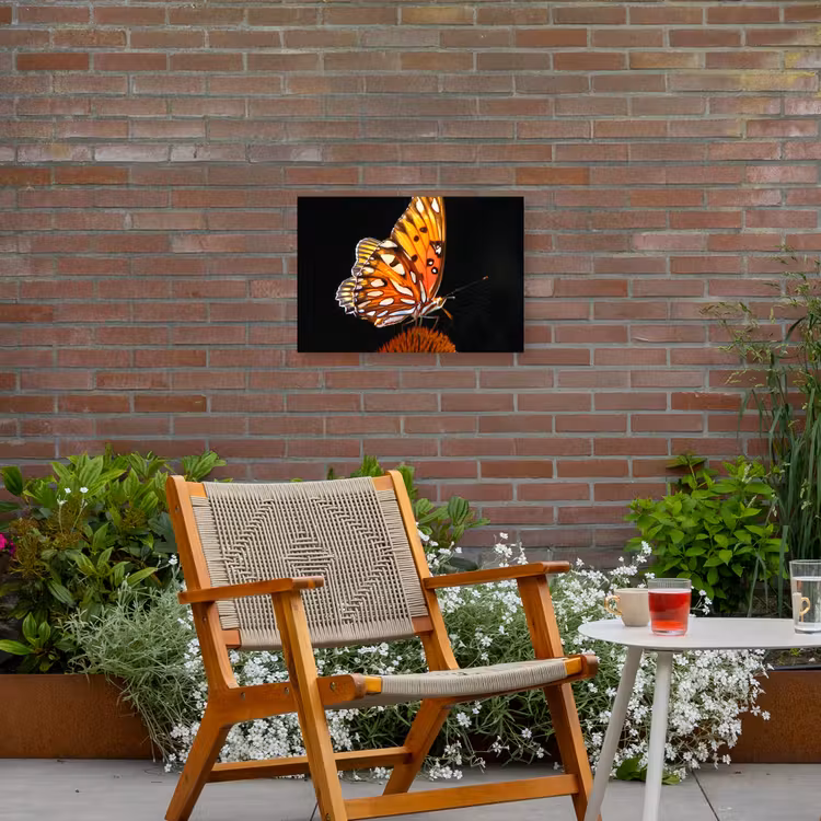 Buiten canvas - Vlinder - Bloemen - Insect - Portret - Zwart - Oranje — 2