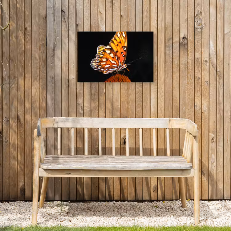 Buiten canvas - Vlinder - Bloemen - Insect - Portret - Zwart - Oranje — 3