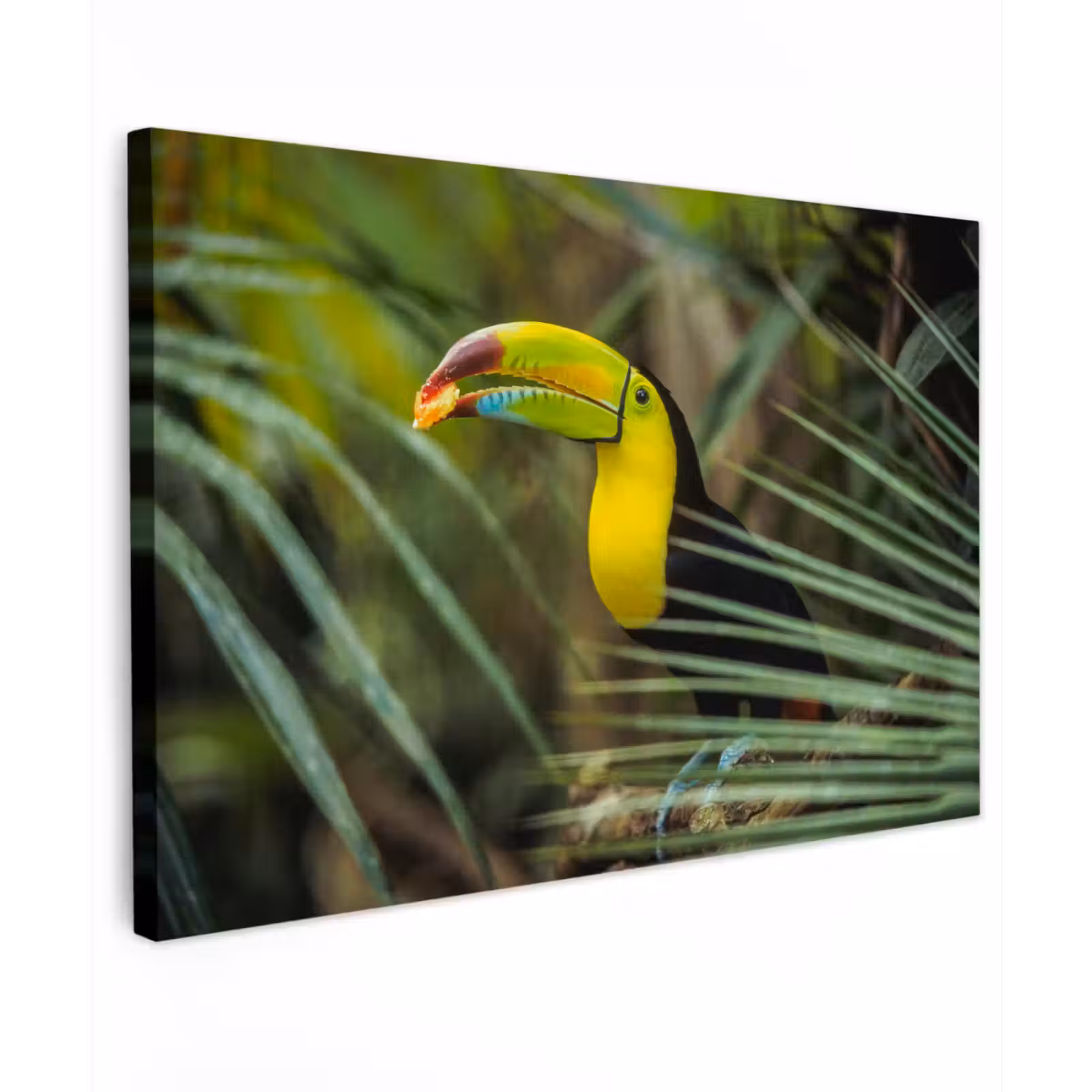 Buiten canvas - Close-up van een etende toekan — 1