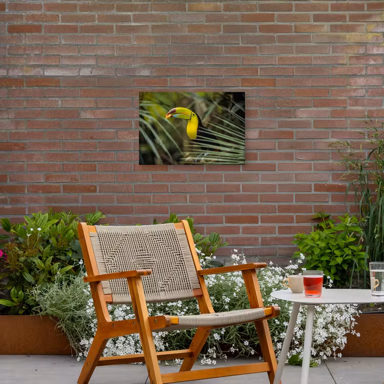 Buiten canvas - Close-up van een etende toekan — 2