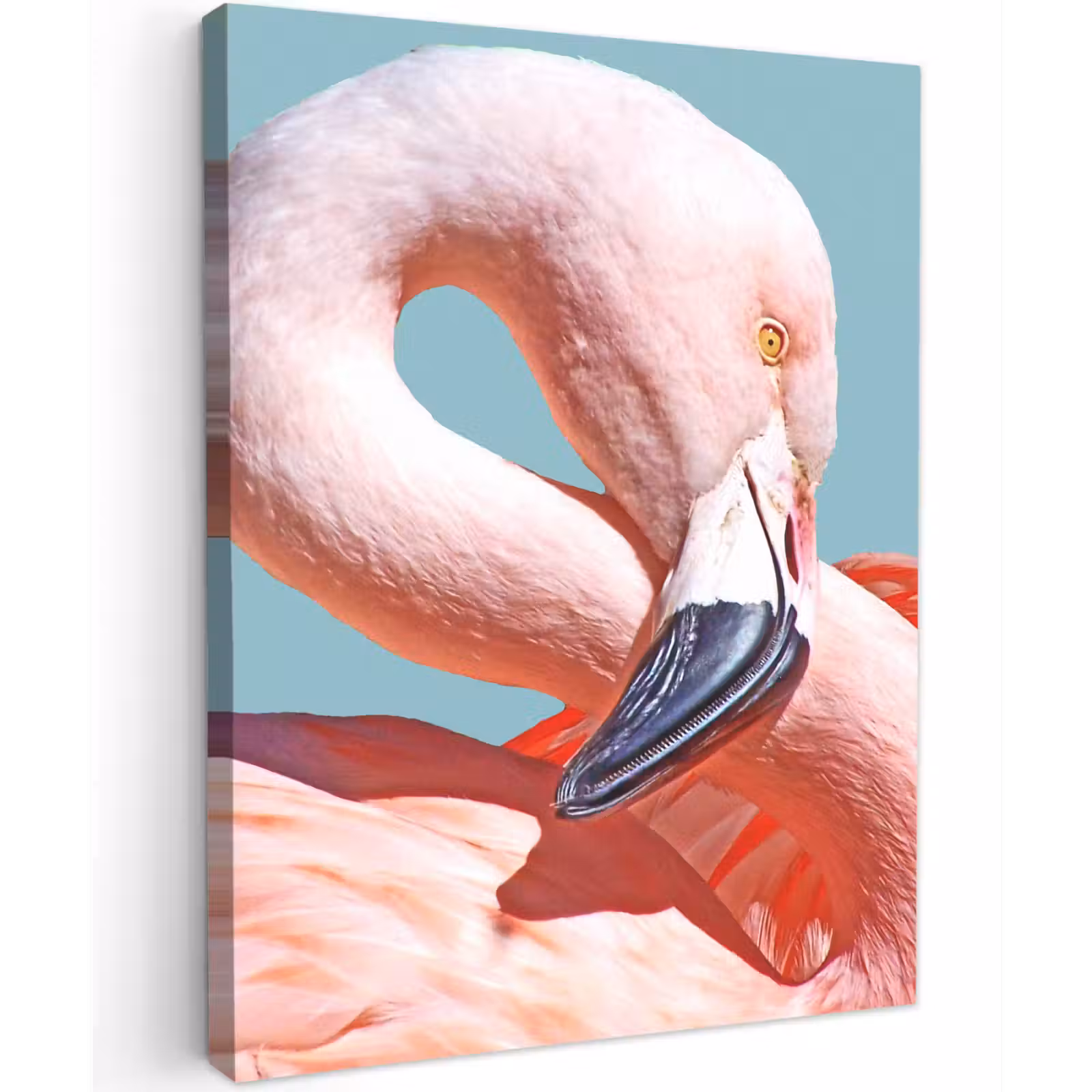 Buiten canvas - Close-up flamingo — 1