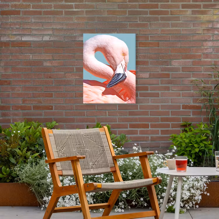Buiten canvas - Close-up flamingo — 2