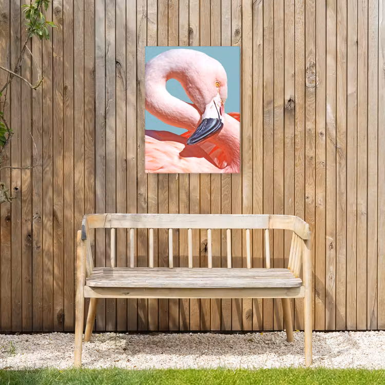 Buiten canvas - Close-up flamingo — 3